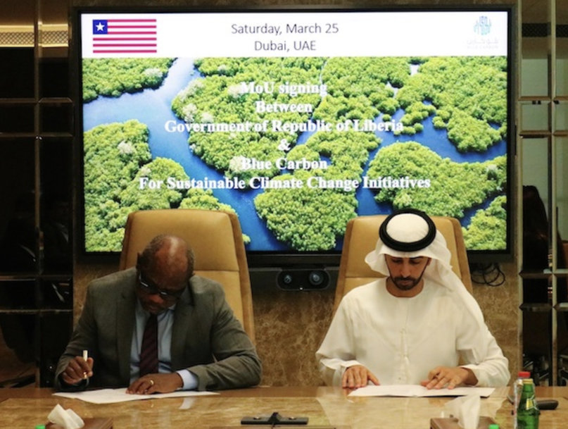 Farmlandgrab reports: Laundering carbon&mdash;The Gulf&rsquo;s &lsquo;new scramble for Africa&rsquo;
